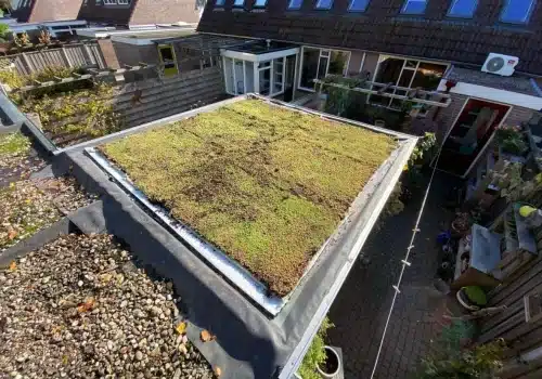 Lichtgewicht Sedumdak op veranda