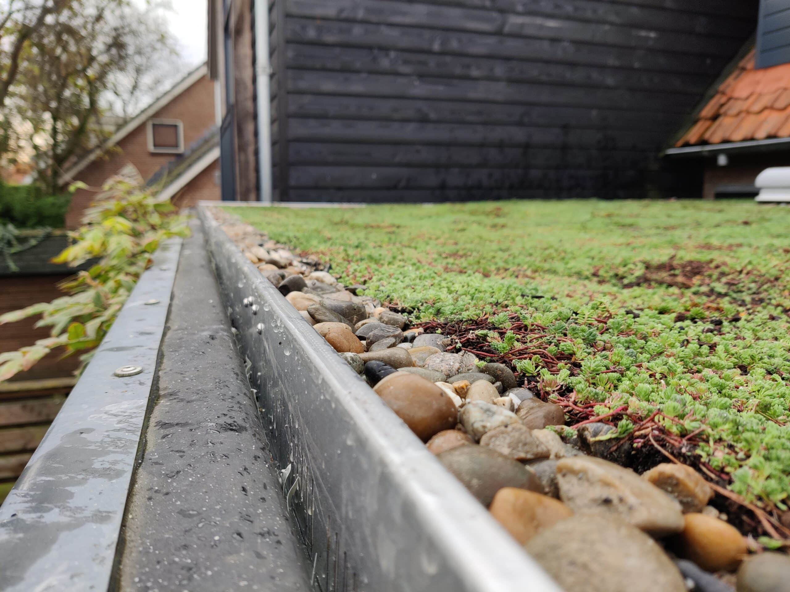 Zorgt Een Groendak Voor Lekkage Naturegreen