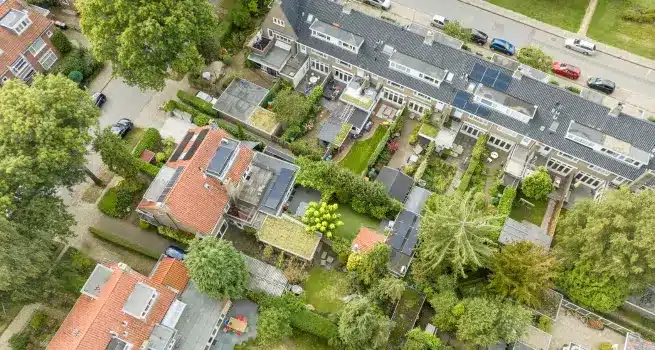 Groene daken in wijk