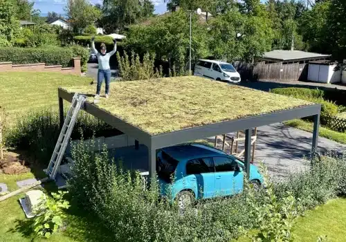 Geschikte seizoenen sedumpakketten