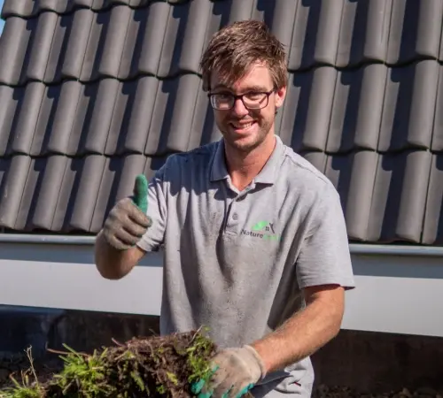 Groendak bedrijf aanleggen uitbesteden