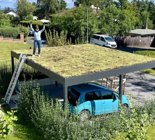 Sedumdak zelf aanleggen